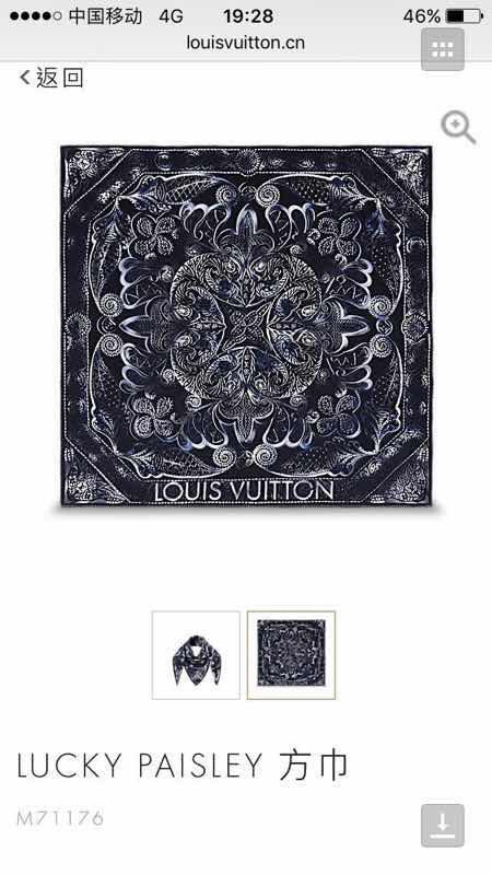 Louis Vuitton Scarf LVS00156
